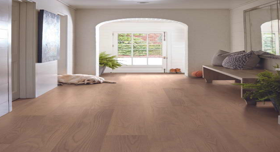 Sleek, durable vinyl flooring in a modern US home — the smart and stylish flooring choice.